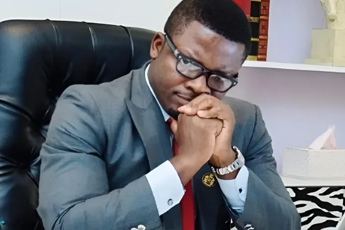 Ogundele Sujimoto CEO